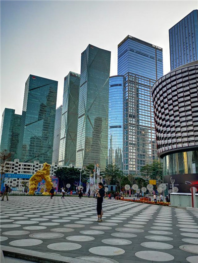 探索广州夜蒲生活的综合交流平台